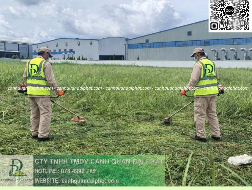 Giải Pháp Chăm Sóc Cây Vệ Sinh Cảnh Quan KCN Amata Biên Hòa Đồng Nai