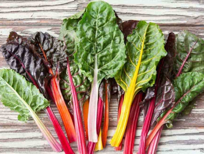 CẢI CẦU VỒNG ĐÀ LẠT - RAU HEALTHY TƯƠI SẠCH