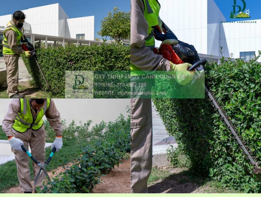 Dịch vụ Bảo dưỡng Cảnh quan – Chăm sóc Cây xanh Đồng Nai