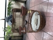 Thanh lý chim choè lửa và lồng giá rẻ