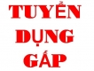 Tuyển Dụng Gấp_Công Ty Xây Dựng AT