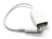 Cáp Lightning USB OTG cho IPhone IPad