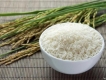 4 LƯU Ý KHI MUA GẠO HỮU CƠ SẠCH AN TOÀN CHO BÀ NỘI TRỢ