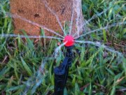 Đầu tưới nhỏ giọt