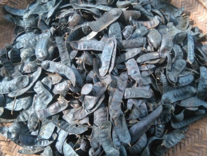 MUA-BÁN BỒ KẾT SỐ LƯỢNG LỚN