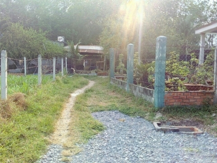 Chính chủ bán đất thổ cư Củ Chi, 540m2, cách Nguyễn Thị Rành 200m.