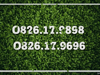 Đấu giá cặp sim vinaphone. Endtime 22h59p 12/06/2019