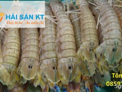 Chuyên cung cấp sỉ và lẻ các mặt hàng mực, bạch tuột, bò, heo