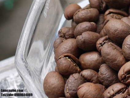 Cà phê hạt sạch Culi Nguyên Chất 100% giá sỉ cho đối tác ở Bình Dương