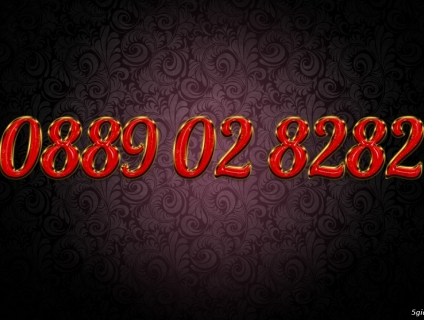 Đấu giá sim vinaphone siêu nét *8282. Endtime 22h59p 19/06/2019