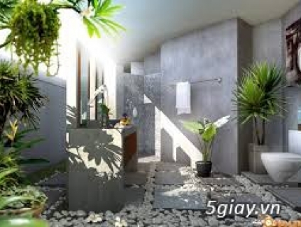 Các lợi ích của việc trồng cây cảnh trong nhà