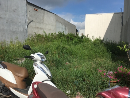 Bán đất trồng cây lâu năm, xây nhà, điện nước