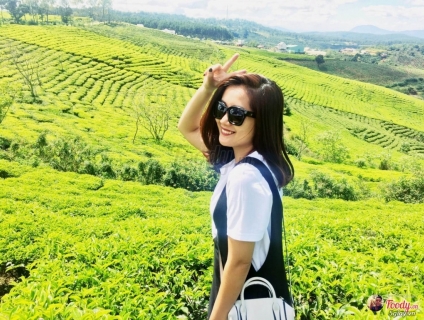 TOUR ĐÀ LẠT_ QUE GARDEN_ ĐỒI CHÈ 3N3Đ