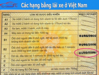 Các loại bằng lái xe tại Việt Nam gồm những loại nào?