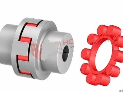 KHỚP NỐI TRỤC TSCHAN TNS S-ST