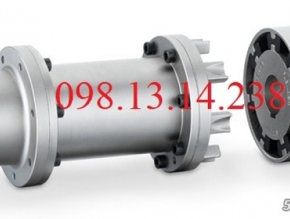 KHỚP NỐI FLENDER N-EUPEX H