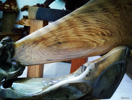 thủy tùng việt nam hàng thơm phức