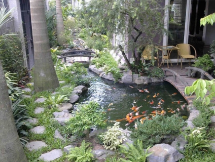 Dịch vụ Thiết kế thi công hòn Non bộ