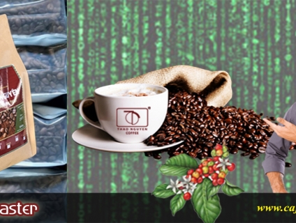 Mua cà phê ngon ở đâu