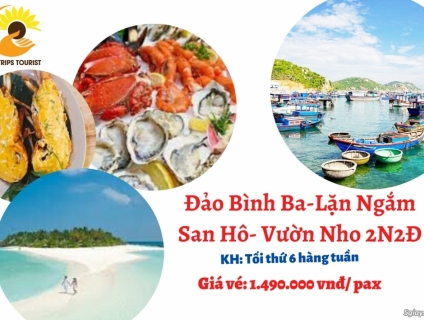 TOUR BÌNH BA- VƯƠNG QUỐC TÔM HÙM- LẶN NGẮM SAN HÔ- VƯỜN NHO 2N2Đ