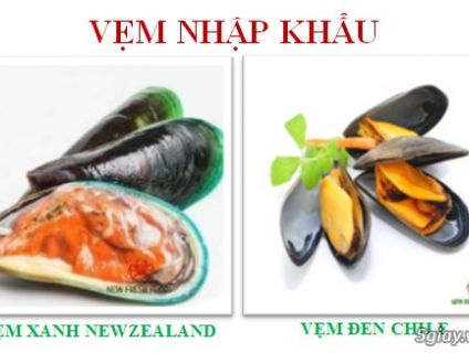 VẸM XANH NEWZEALAND, VẸM ĐEN CHILE - NEW FRESH FOODS