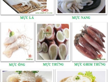 MỰC XUẤT KHẨU - NEW FRESH FOODS