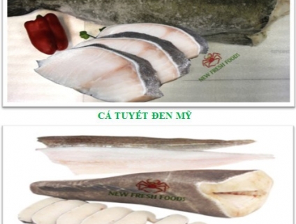 CÁ TUYẾT NHẬP KHẨU - NEW FRESH FOODS
