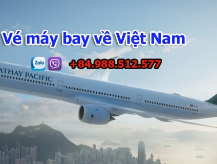 Hỗ trợ doanh nghiệp mua vé máy bay cho chuyên gia vào Việt Nam giá rẻ