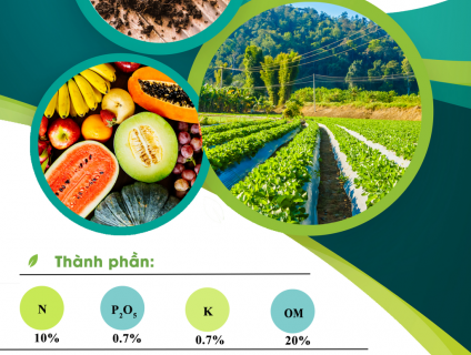 Phân dơi hữu cơ Minh Tâm Túi Lọc 150g