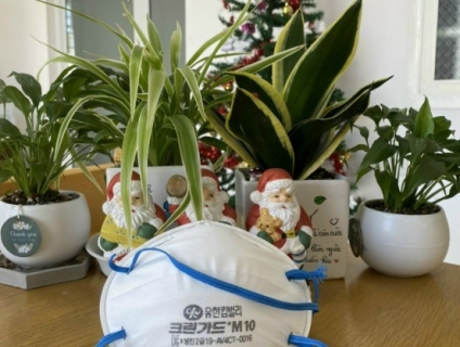 bông gòn lọc kn95