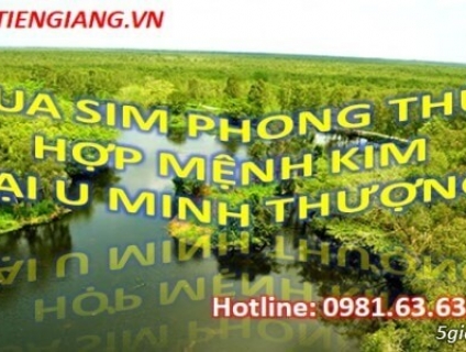 Top Địa Chỉ Bán Sim Phong Thủy Hợp Mệnh Kim Tại Huyện U Minh Thượng