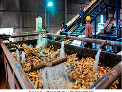 Xử lý nước thải tinh bột mì