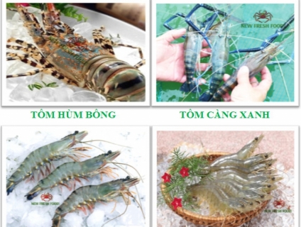 TÔM XUẤT KHẨU - NEW FRESH FOOS