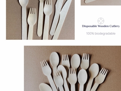 DAO MUỖNG NĨA GỖ DÙNG 1 LẦN - KEGO ECO