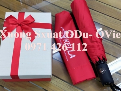 Ô Dù Quảng Cáo I Ô Dù Quà Tặng mang lại hiệu quả lớn