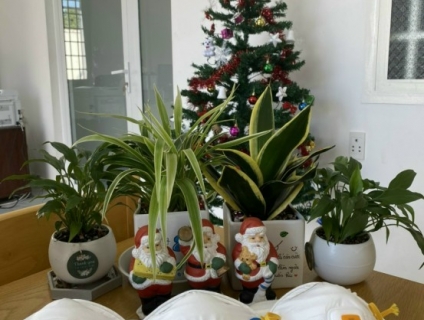 Cung cấp Gòn lọc kn95