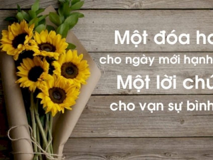 Mua ống nhựa mềm lõi thép ở đâu chất lượng giá rẻ giao hàng nhanh ?