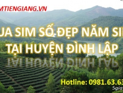 Bật Mí Địa Chỉ Mua Sim Số Đẹp Năm Sinh Tại Huyện Đình Lập