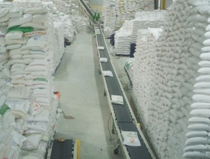 Review về công ty gạo Bình Dương chuyên cung cấp gạo số lượng lớn