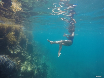 Tour lặn biển, TJ Travel Nha Trang