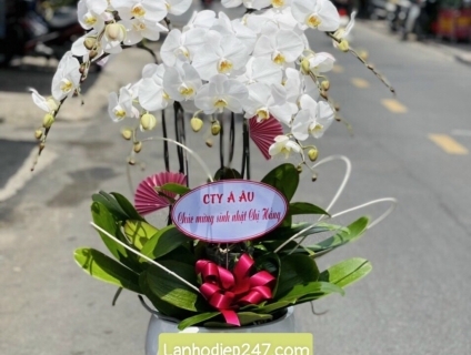 Shop hoa tươi Lan Hồ điệp 247 tại Đắc Lắk 0934013738