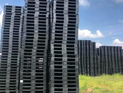 Pallet Nhựa Kiên Giang Và Những Điều Cần Lưu Ý Khi Mua