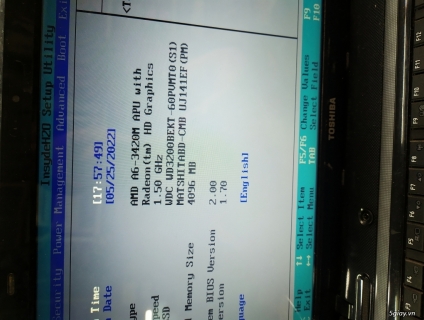 Về quê cần thanh lý