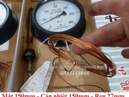 Đồng hồ đo nhiệt độ dạng dây 300 độ WTQ-280