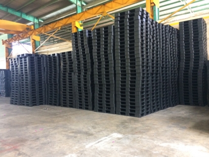 Pallet Nhựa Gò Vấp Giảm Giá Mạnh 50%