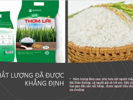 |SỐC|_THƠM LÀI GENTE FOOD Túi 5kg chỉ còn 127,500/2kg + FREESHIP