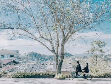 Du lịch Đà Lạt