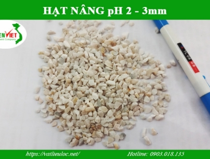 Hạt Nâng pH Loại 2 - 3mm Tại Xuyên Việt [Nhà Cung Cấp]