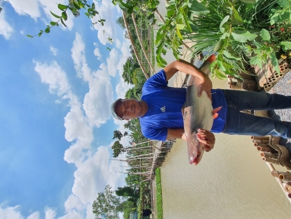 Ẩm thực - Câu cá giải trí Bảo Vàng