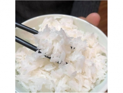 ST25 GENTEFOOD SALE ĐẾN 15% TÚI 5KG CHỈ CÒN 170K+FREESHIP